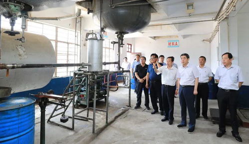 集團領導深入實業(yè)公司調(diào)研，聚焦轉(zhuǎn)型發(fā)展重點