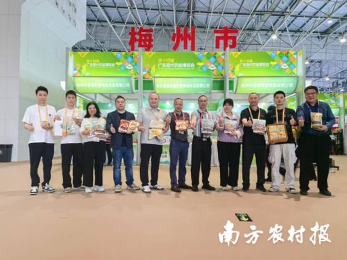 智創未來，AI賦能 蕉嶺毛竹品牌煥新，實業公司引領產業升級